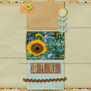 Sunflower