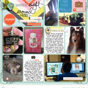 2015 Week 8