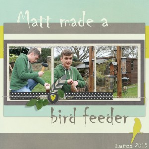 Bird Feeder