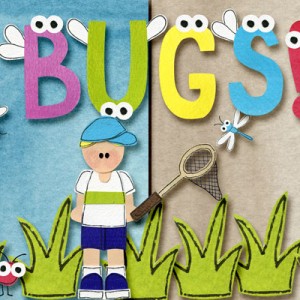 Bugs