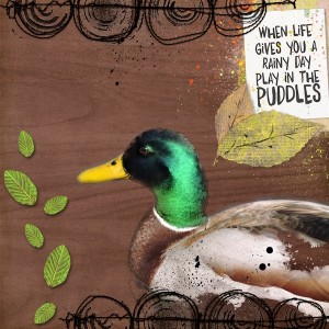 duck