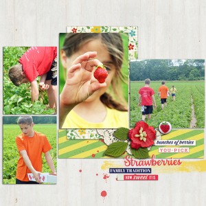 Strawberry farm: right