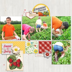 Strawberry farm: left