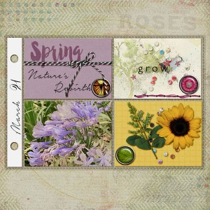 AJ Pocket Flower April 1