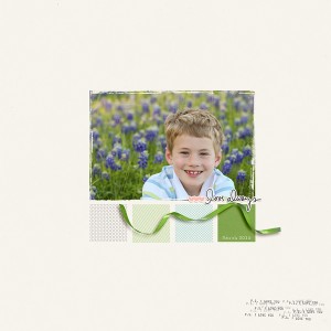 Bluebonnet Love
