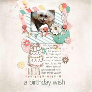 A Birthday Wish