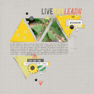 Live and Learn