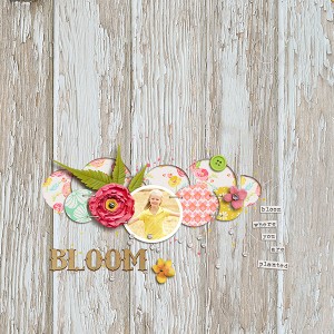 In Bloom