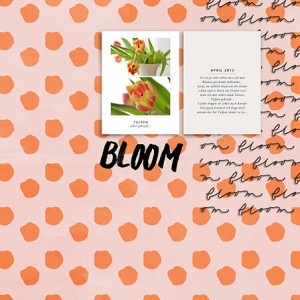 Tulpen