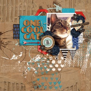 one cool cat