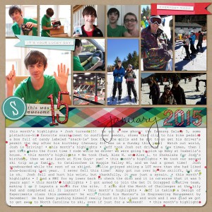 January 2015-in review