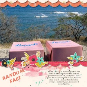 Scenic Hawaii -- Ed style