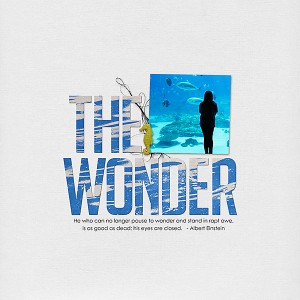 the wonder