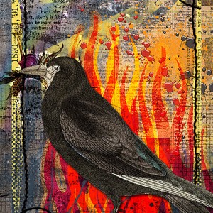 Family Raven