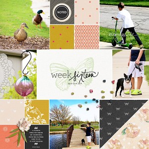 Week-16_-2015_-left