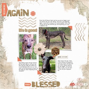 Beginning Again and Blessed