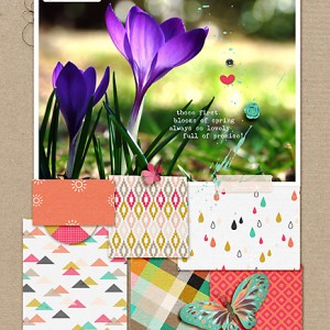 mini album - spring