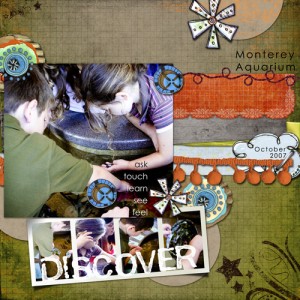 discover