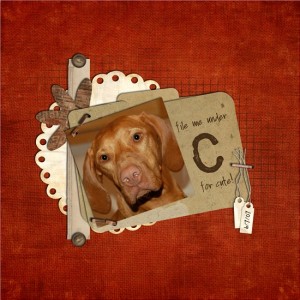 c for cute