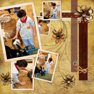 Petting Zoo