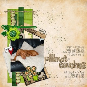 pillows on couches