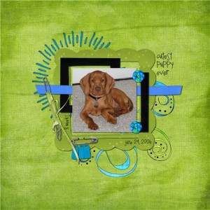 cutest puppy ever
