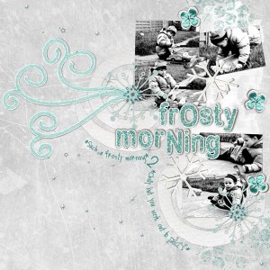 Frosty Morning