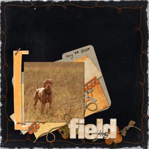 field dog