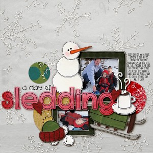 A Day Of Sledding