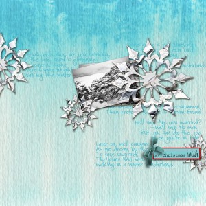 Snowflakes...