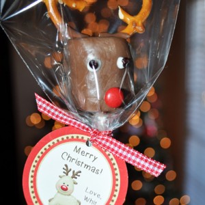 Reindeer tags