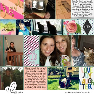 2015 Week 13