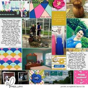 2015 Week 13