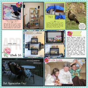 Week 16, 2015