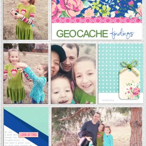 Geocache findings