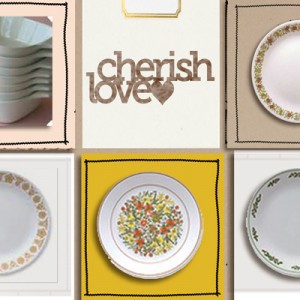 my dish collection