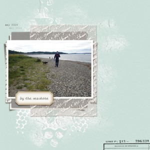 seashore