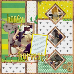 Honey Harvest