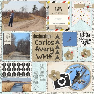 Carlos Avery wma