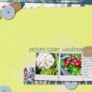 Picture-takin Weather