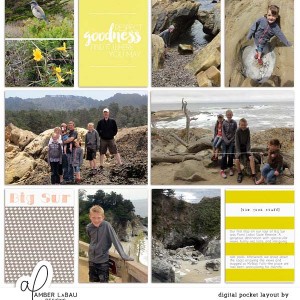 Big Sur 2