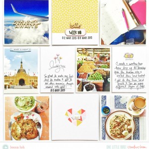 Project Life 2015 | Week 10 *Serendipity*