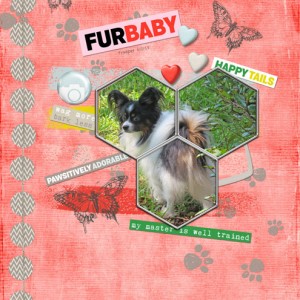 Fur Baby