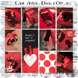 May 2015 - Scraplift Challenge