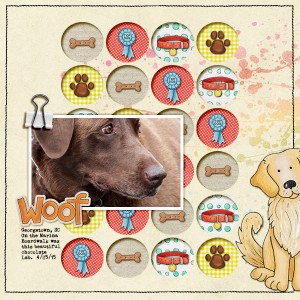 Woof (slow Scrap iNSD)