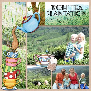 Boh Tea Plantation