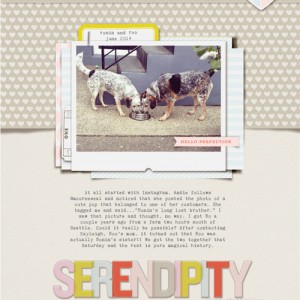 serendipity
