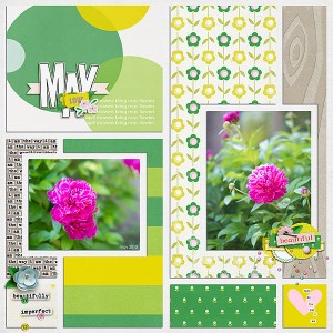 May Flowers