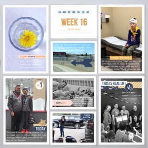 PL2015 - Week 16