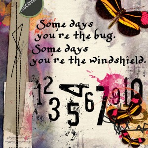 Windshield